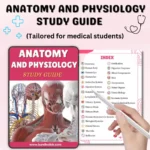 Anatomy & Physiology Study Guide with Flashcards